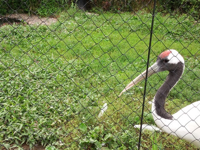 ���R������