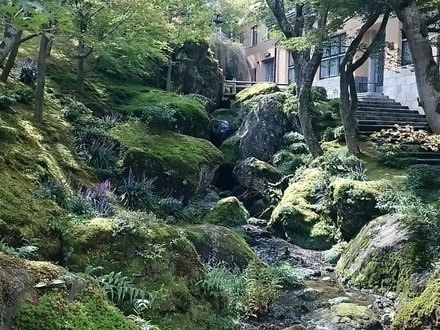 �ے�P_�������p��