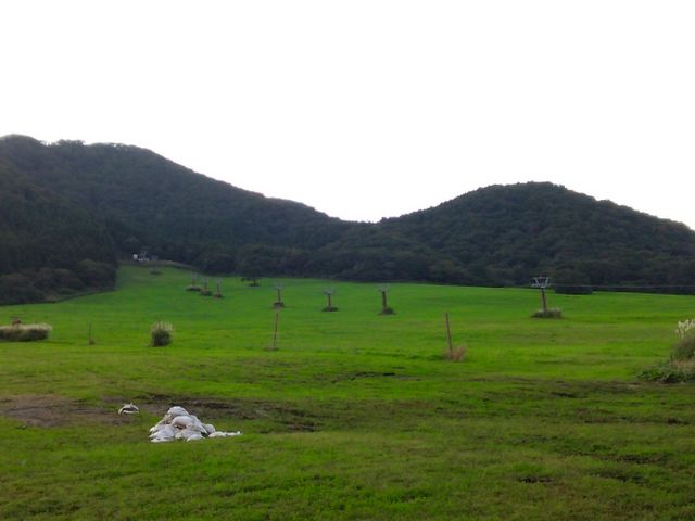 �₭�炢�R�B�X�L�[��OK!_�₭�炢��t�̓�