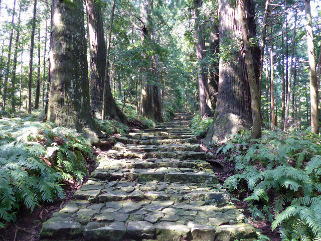 �������͋����Ă����������Ƃ����т̒��B_�F��Ó��@����