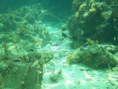 R~ꂳ̈Ɍvr[`ւ̓eʐ^1