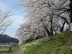 񂳂̕Oؓ̍؂ւ̓eʐ^1