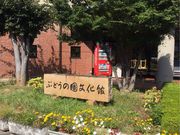 񂳂̂Ԃǂ̍ق̓eʐ^1