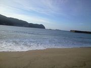 ܂܂ۂ񂳂̑唑C̓eʐ^1