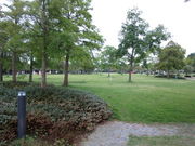 ҂̐ԕClI[gLv̓eʐ^2