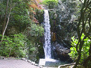 SbhEt@[U[̌ۂ̓eʐ^1