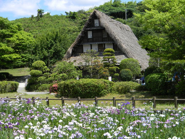 {nԖƑRL_{nԐ_ЖƑRL