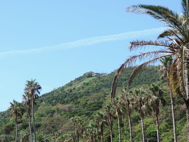 ��������Ԃł����Ƒ���ƕăm�R�W�]��@_�n���w�ό��ē���