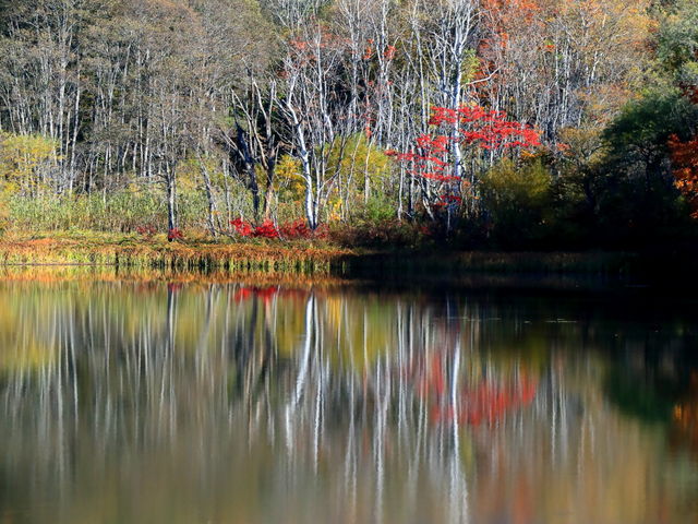 �������A�N�Z���g�ɂȂ��āA�C�ɓ����Ă܂�_���r