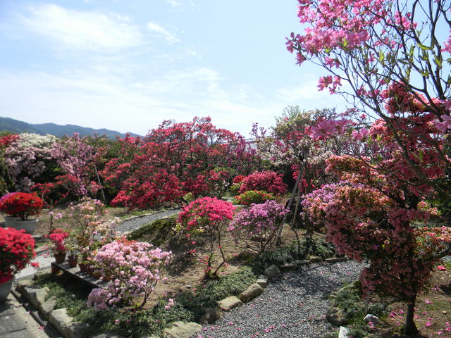 �v���Ďs���E���Z���^�[_�v���Ďs���E���Z���^�[