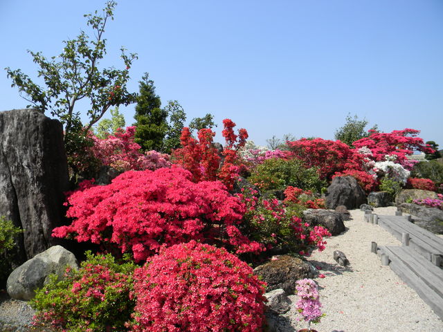 �v���Ďs���E���Z���^�[_�v���Ďs���E���Z���^�[