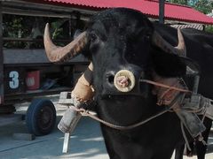 mami̔dRόtF[ւ̓eʐ^1