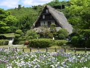 DX���񂿂�񂳂�̋{�n�Ԑ_�Ж��Ƒ����R�L���̓��e�ʐ^1