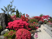 DX񂿂񂳂̋vĎsEZ^[̓eʐ^3