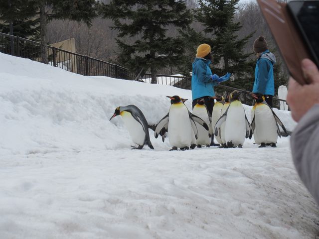 ���R������������_���R������