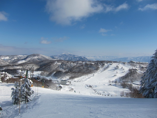 ���������X�L�[��