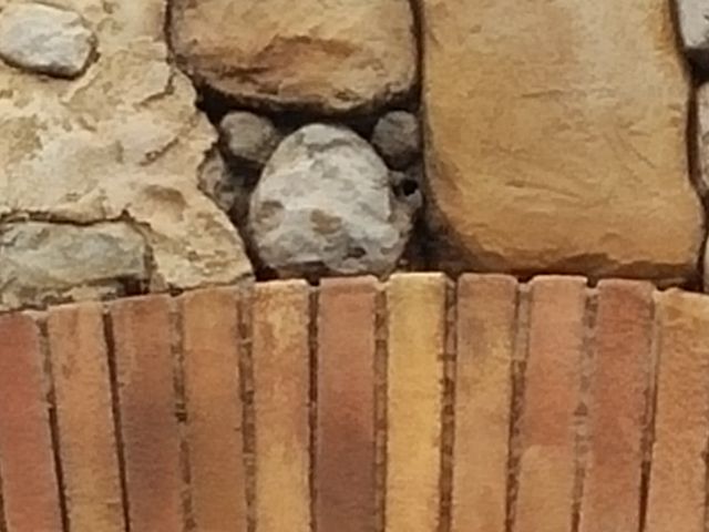 �B��~�b�L�[�����܂����B���b�L�[��R(�L���M)/_�����f�B�Y�j�[�V�[(R)