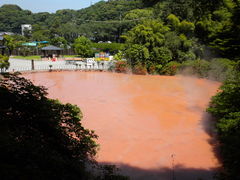 ���񂳂�̌��̒r�n���ւ̓��e�ʐ^1