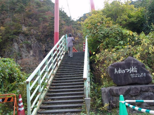 ���Ă���������������_����̂苴