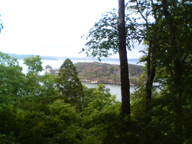 �����R�i���ʖ��������j