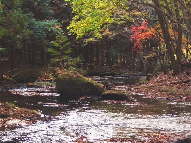 紅葉の滝川2_滝川渓谷