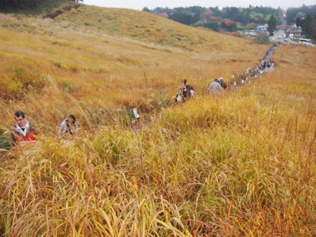 ��Ό�����