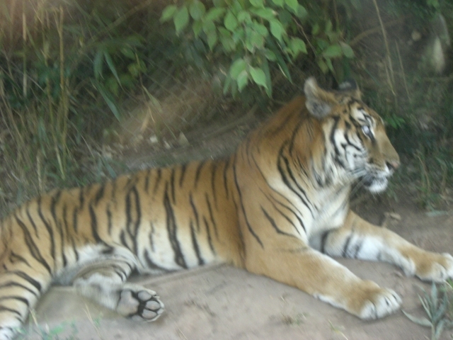 �g��_�H�g�䎩�R���������T�t�@�������h