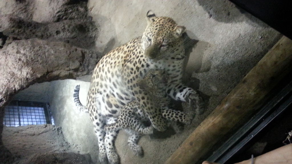 福岡市動植物園
