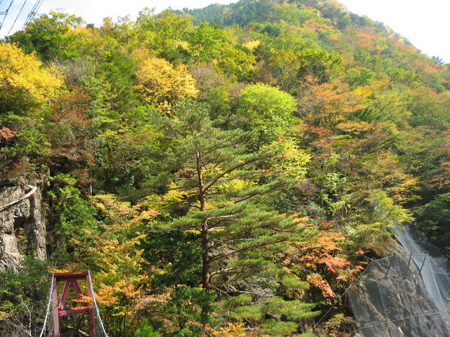 �݂��炢�k�J�̍g�t