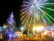 korikori̖É`V[gCh̓eʐ^1