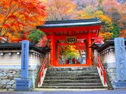 p7777777̗򎛂̓eʐ^1