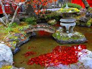 p7777777̗򎛂̓eʐ^3