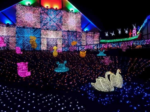 ���X�̉�_�����h�C�c��