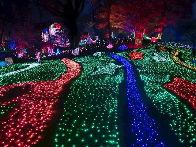 �u�����グ��_�����h�C�c��