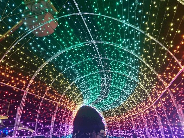 �g���l���̒�_�����h�C�c��