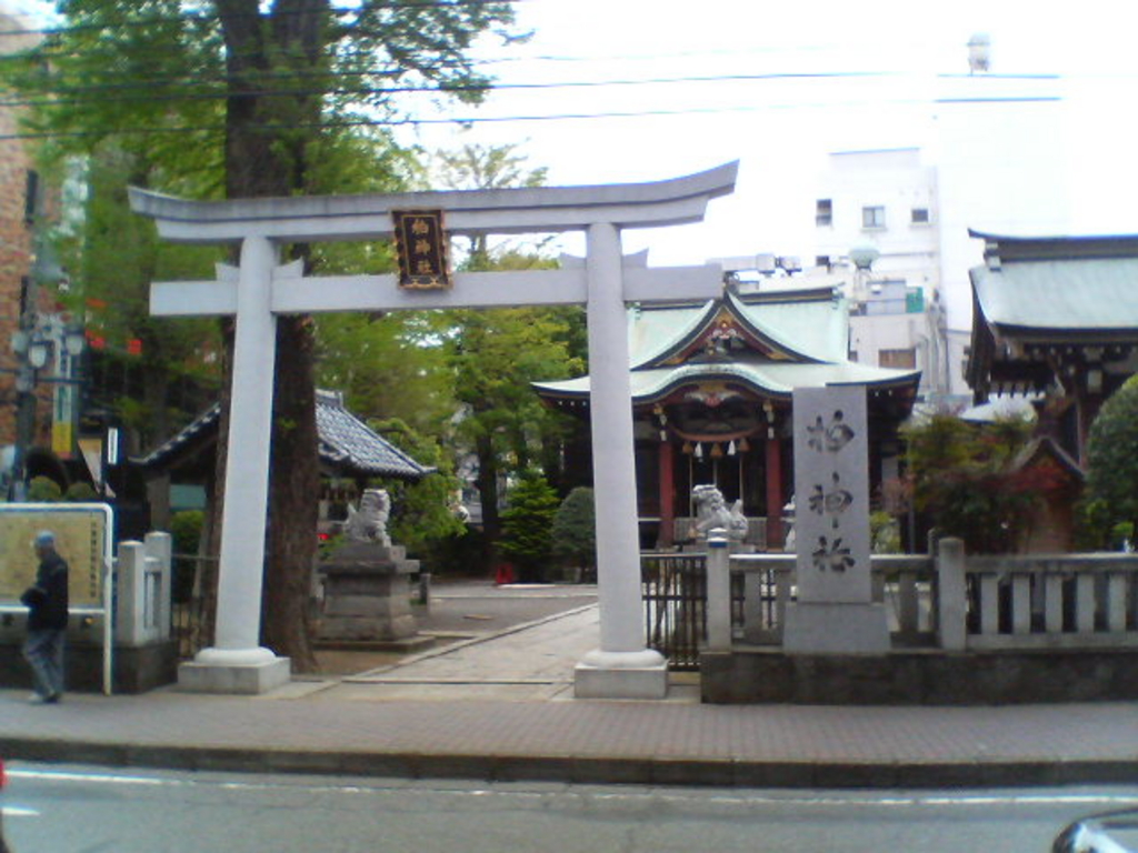 柏神社 3月 御朱印 やよい （柏神社/八坂神社/3月限定/月替わり