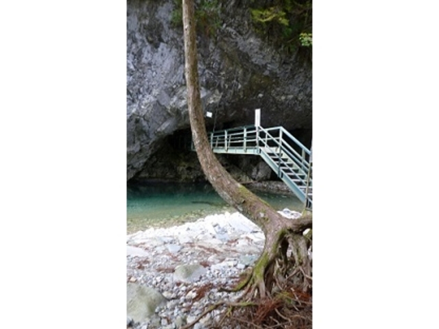 �s�C���ȃR�E�����̉���_�V��򓒃Z���^�[�݂��͂̓�