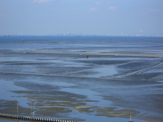 �����p_���̓��勴