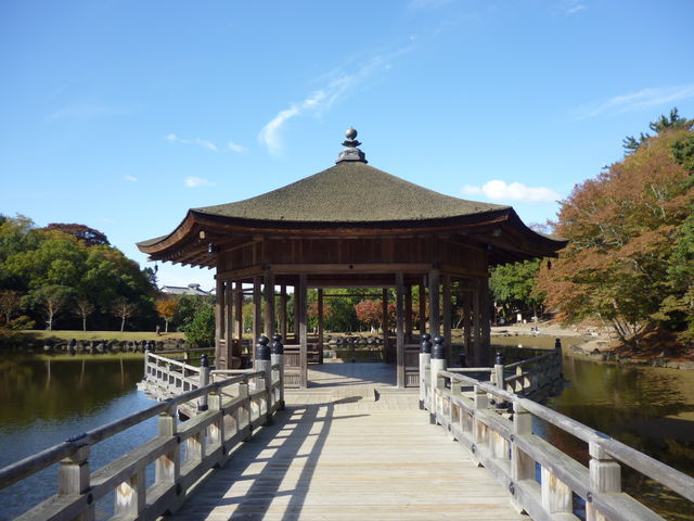 ���ʂ���_������