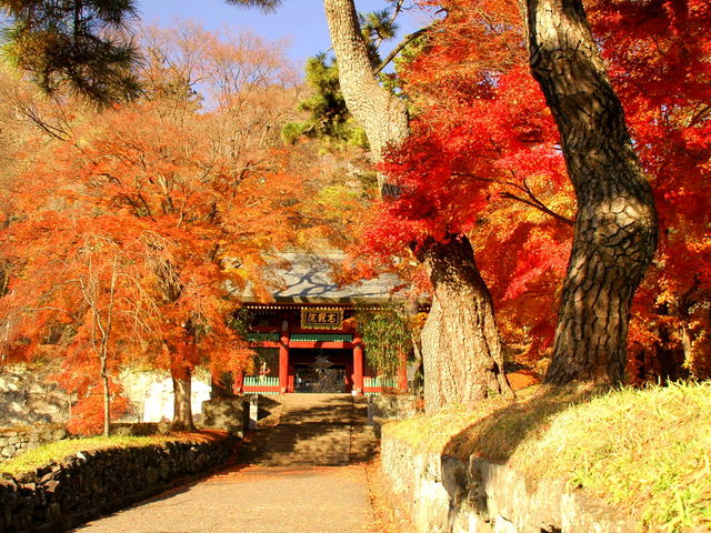 ���`�_��_���`�R