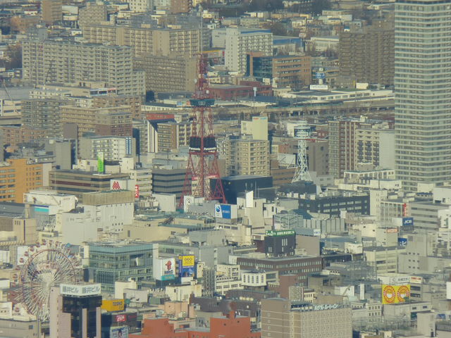 �D�y�e���r��_������R���[�v�E�F�C