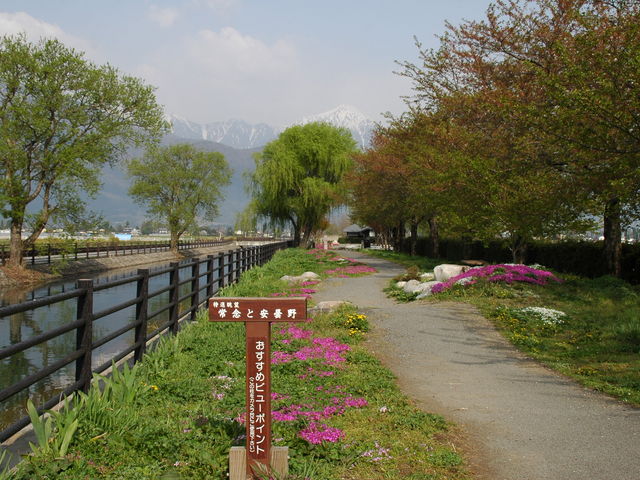 ̉w@AvXܖق肪˂̗̂΁AEOx_̉w AvXܖق肪˂̗