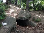 Sakamoto119̓{Õ̓eʐ^13