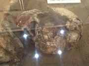 Sakamoto119̓syق̓eʐ^10