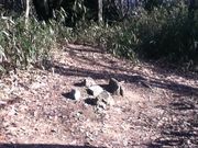 Sakamoto119����̍�����q�ɚ��b�ΌQ�̓��e�ʐ^11