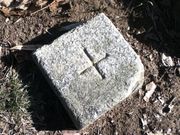 Sakamoto119����̍�����q�ɚ��b�ΌQ�̓��e�ʐ^12