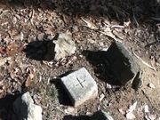 Sakamoto119����̍�����q�ɚ��b�ΌQ�̓��e�ʐ^13