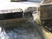 ܁[񂳂̋erό𗬊ق̓eʐ^2