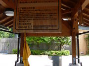 Sakamoto119̉ÉX̓eʐ^22