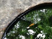 Sakamoto119̖xz_Ђ̓eʐ^11